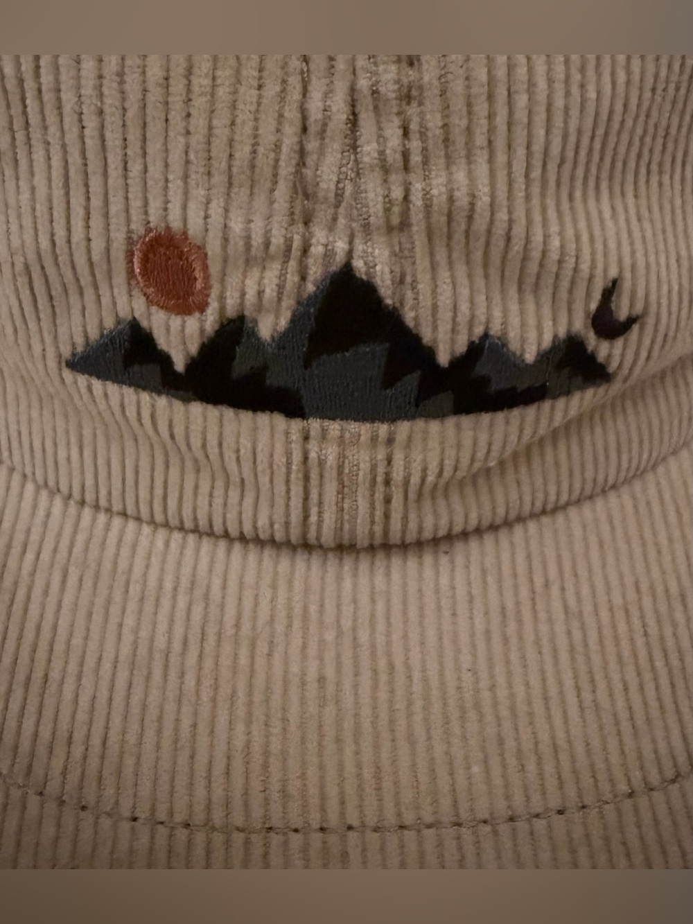 Patagonia Men’s Corduroy Mountain Logo Hat | Beige & Navy - Picture 2 of 7
